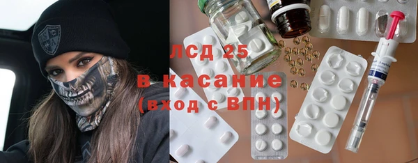 стаф Дмитров