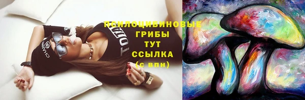 кокаин перу Дмитриев