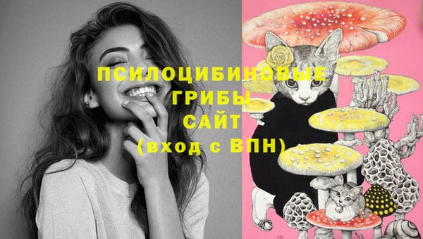 мяу мяу мука Дмитровск