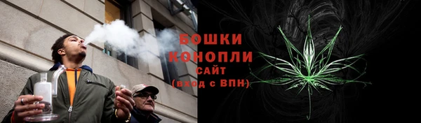 стаф Дмитров