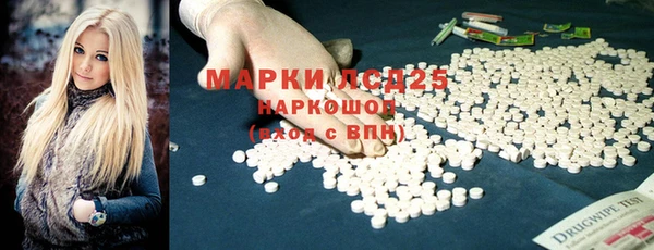стаф Дмитров
