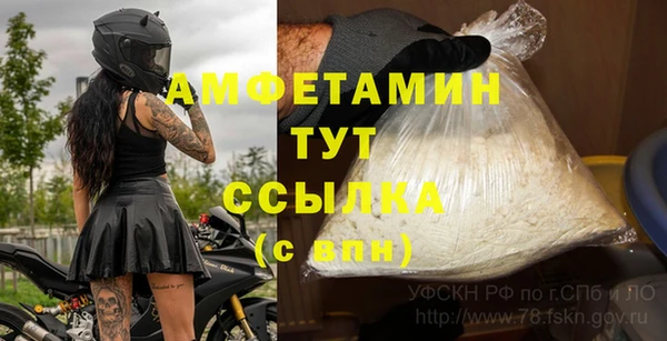 стаф Дмитров