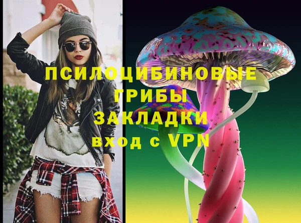 стаф Дмитров